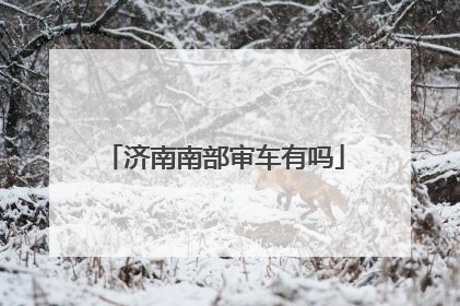 济南南部审车有吗