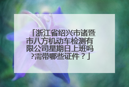 浙江省绍兴市诸暨市八方机动车检测有限公司星期日上班吗?需带哪些证件？