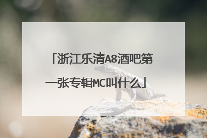 浙江乐清A8酒吧第一张专辑MC叫什么