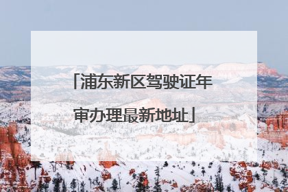 浦东新区驾驶证年审办理最新地址