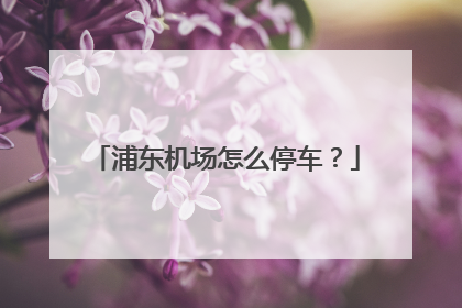 浦东机场怎么停车？