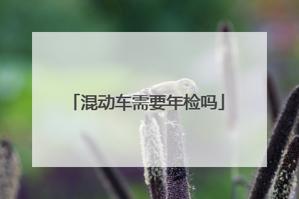 混动车需要年检吗