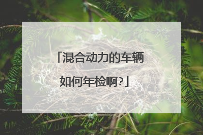 混合动力的车辆如何年检啊?