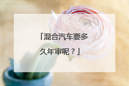 混合汽车要多久年审呢？