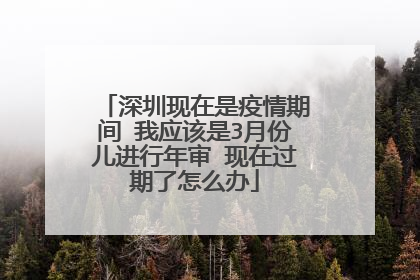 深圳现在是疫情期间 我应该是3月份儿进行年审 现在过期了怎么办
