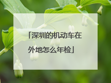 深圳的机动车在外地怎么年检