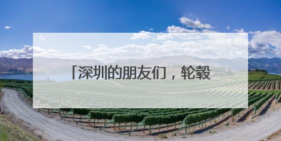 深圳的朋友们，轮毂改装后能过年检吗?