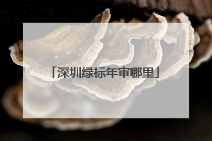 深圳绿标年审哪里