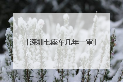 深圳七座车几年一审
