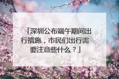 深圳公布端午期间出行措施，市民们出行需要注意些什么？