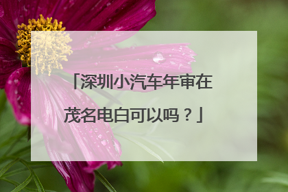 深圳小汽车年审在茂名电白可以吗？