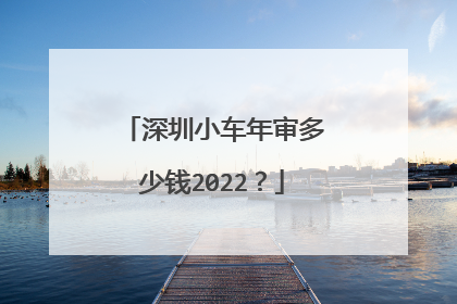深圳小车年审多少钱2022？