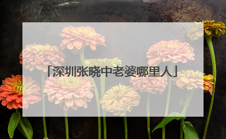 深圳张晓中老婆哪里人