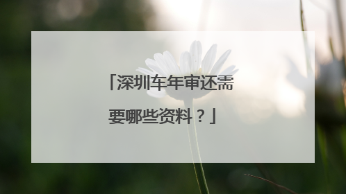 深圳车年审还需要哪些资料？