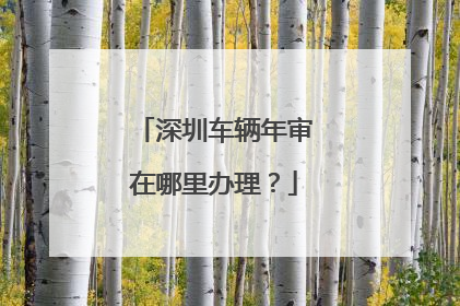 深圳车辆年审在哪里办理？