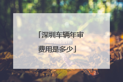 深圳车辆年审费用是多少