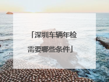 深圳车辆年检需要哪些条件