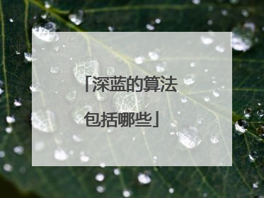 深蓝的算法包括哪些