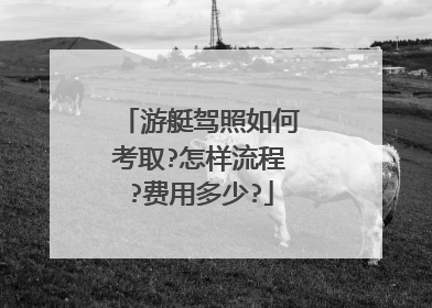 游艇驾照如何考取?怎样流程?费用多少?