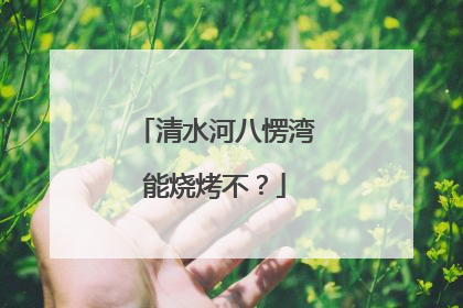 清水河八愣湾能烧烤不？