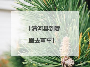 清河县到哪里去审车