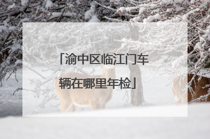 渝中区临江门车辆在哪里年检