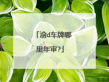 渝d车牌哪里年审?