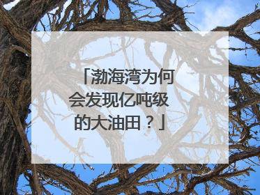 渤海湾为何会发现亿吨级的大油田？