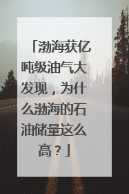 渤海获亿吨级油气大发现，为什么渤海的石油储量这么高？