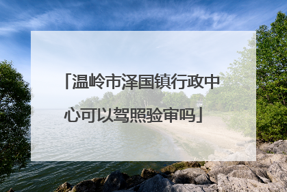 温岭市泽国镇行政中心可以驾照验审吗
