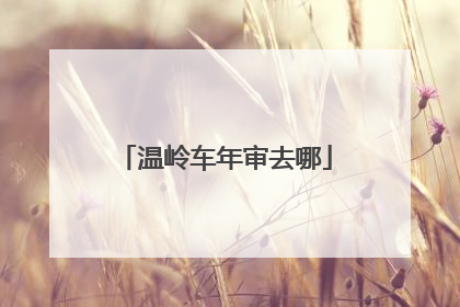 温岭车年审去哪