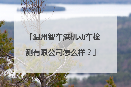 温州智车港机动车检测有限公司怎么样？