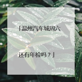 温州汽车城周六还有年检吗？