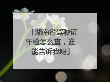 湖南省驾驶证年检怎么查，谁能告诉我呀