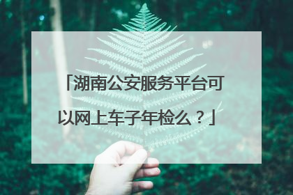 湖南公安服务平台可以网上车子年检么？