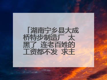 湖南宁乡县大成桥特步制造厂 太黑了 连老百姓的工资都不发 求主持公道 教她们怎么做能拿回自己应得的工资