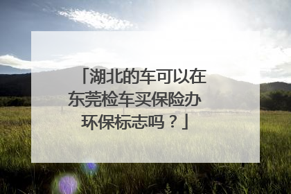 湖北的车可以在东莞检车买保险办环保标志吗？