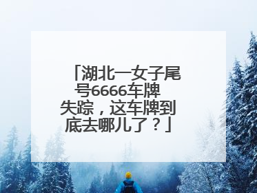 湖北一女子尾号6666车牌失踪，这车牌到底去哪儿了？