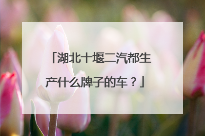 湖北十堰二汽都生产什么牌子的车？