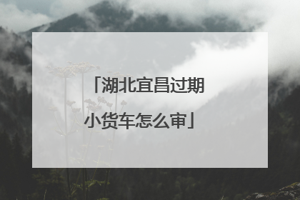 湖北宜昌过期小货车怎么审