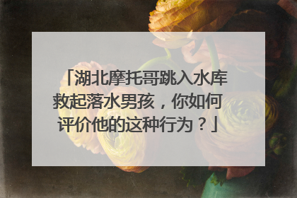 湖北摩托哥跳入水库救起落水男孩，你如何评价他的这种行为？