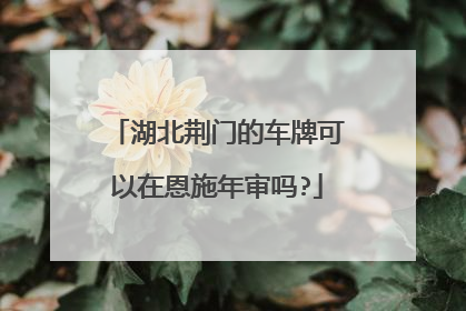 湖北荆门的车牌可以在恩施年审吗?
