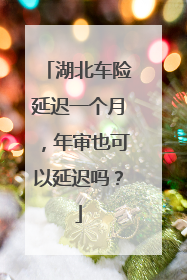 湖北车险延迟一个月，年审也可以延迟吗？
