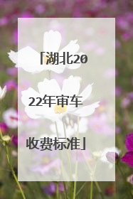 湖北2022年审车收费标准