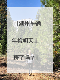 湖州车辆年检明天上班了吗？