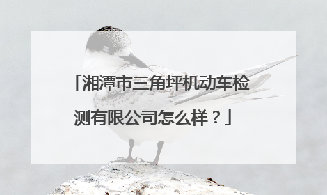 湘潭市三角坪机动车检测有限公司怎么样？