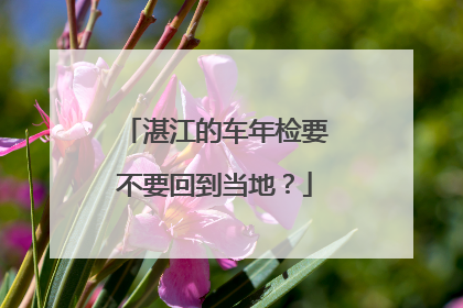 湛江的车年检要不要回到当地？