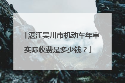 湛江吴川市机动车年审实际收费是多少钱？