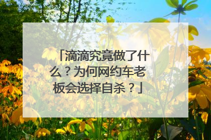 滴滴究竟做了什么？为何网约车老板会选择自杀？