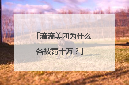 滴滴美团为什么各被罚十万？